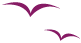 oiseaux-violet-atelier